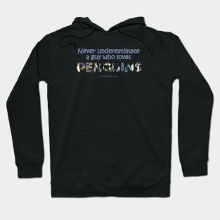 Never underestimate a guy who loves penguins - wildlife oil painting word art Hoodie